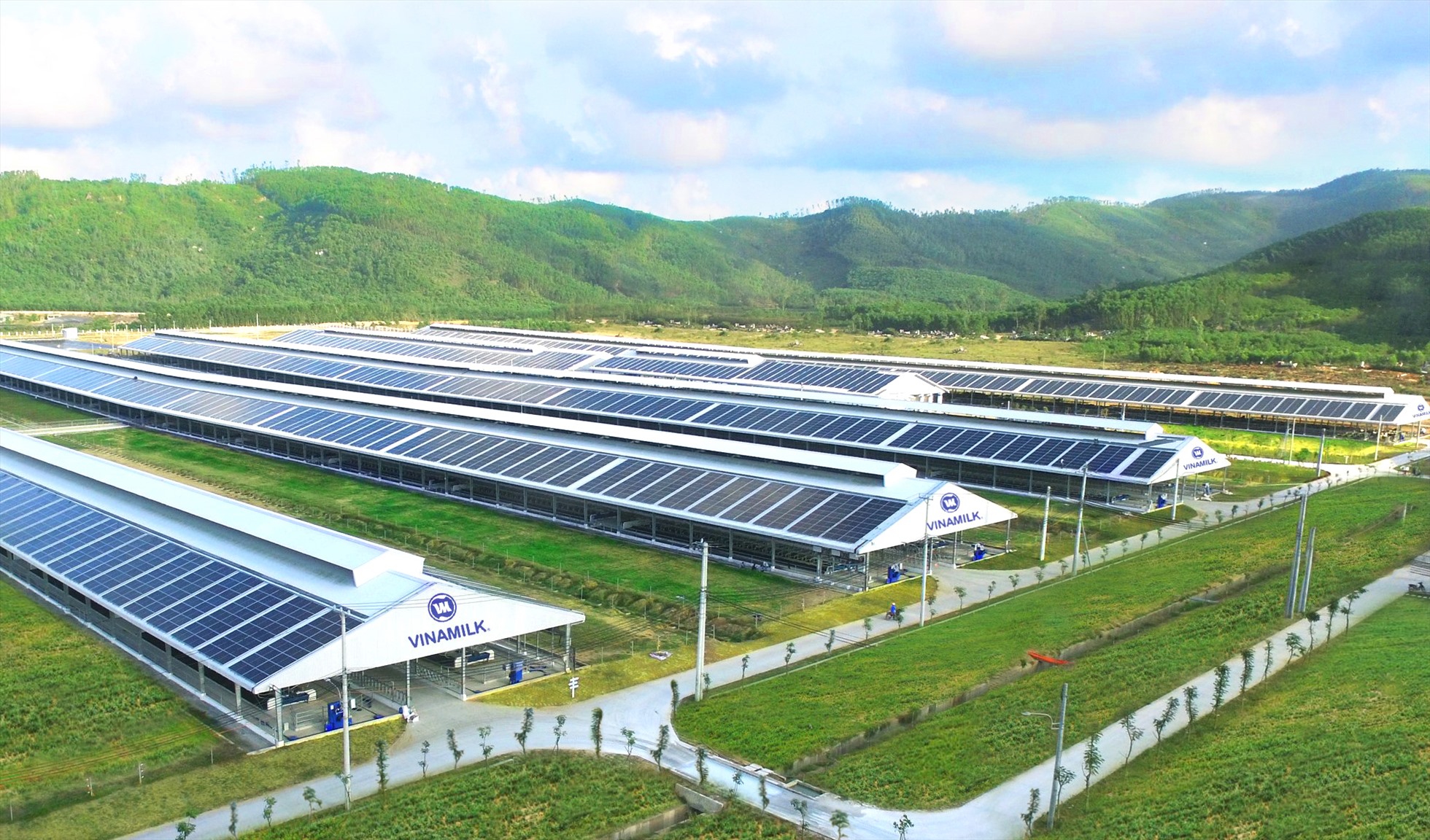 Định lượng dấu chân carbon sản phẩm