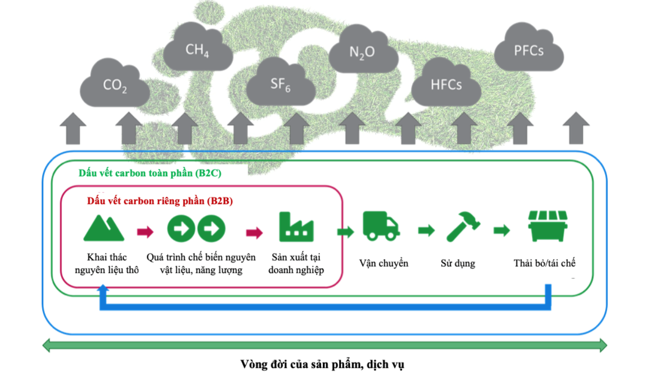 Định lượng dấu chân carbon sản phẩm