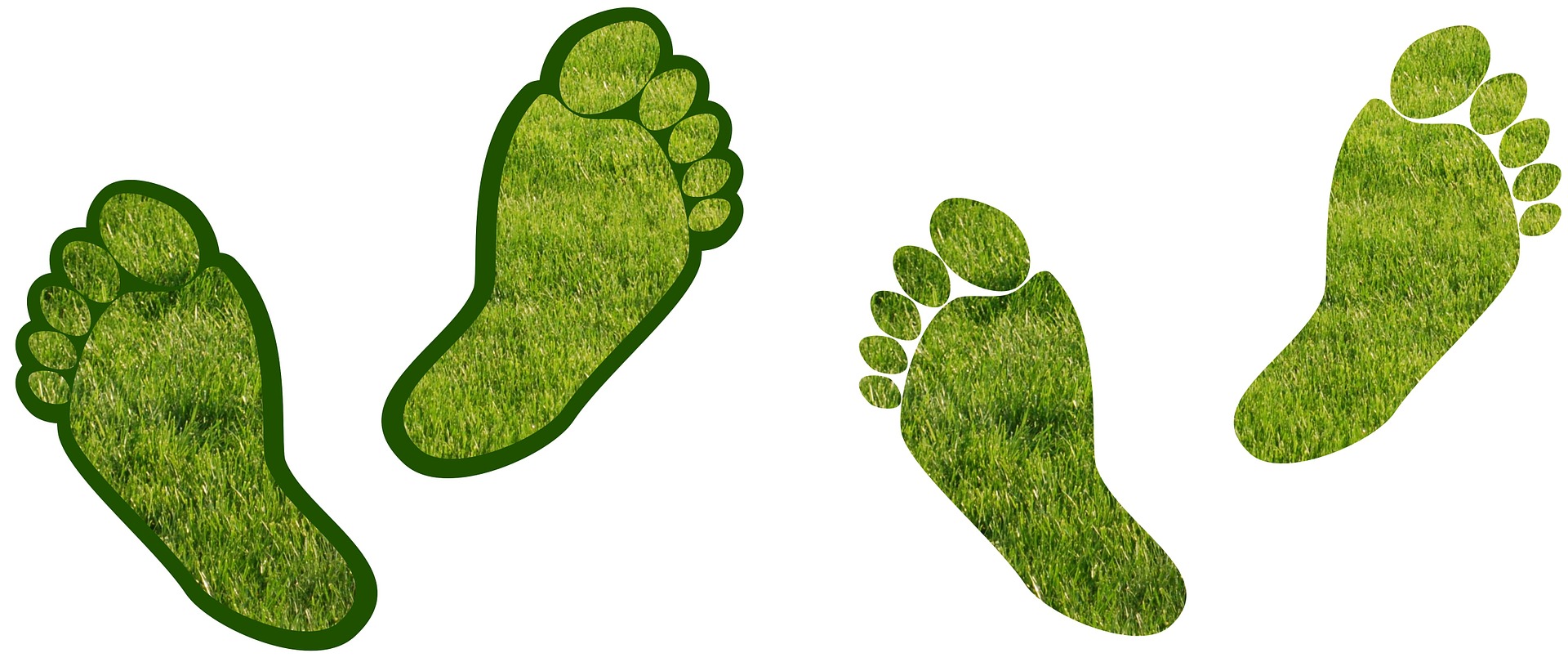 dấu chân carbon sản phẩm