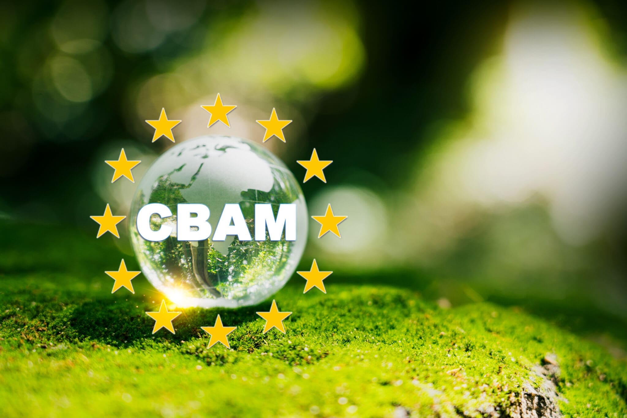 Hướng dẫn khai báo CBAM