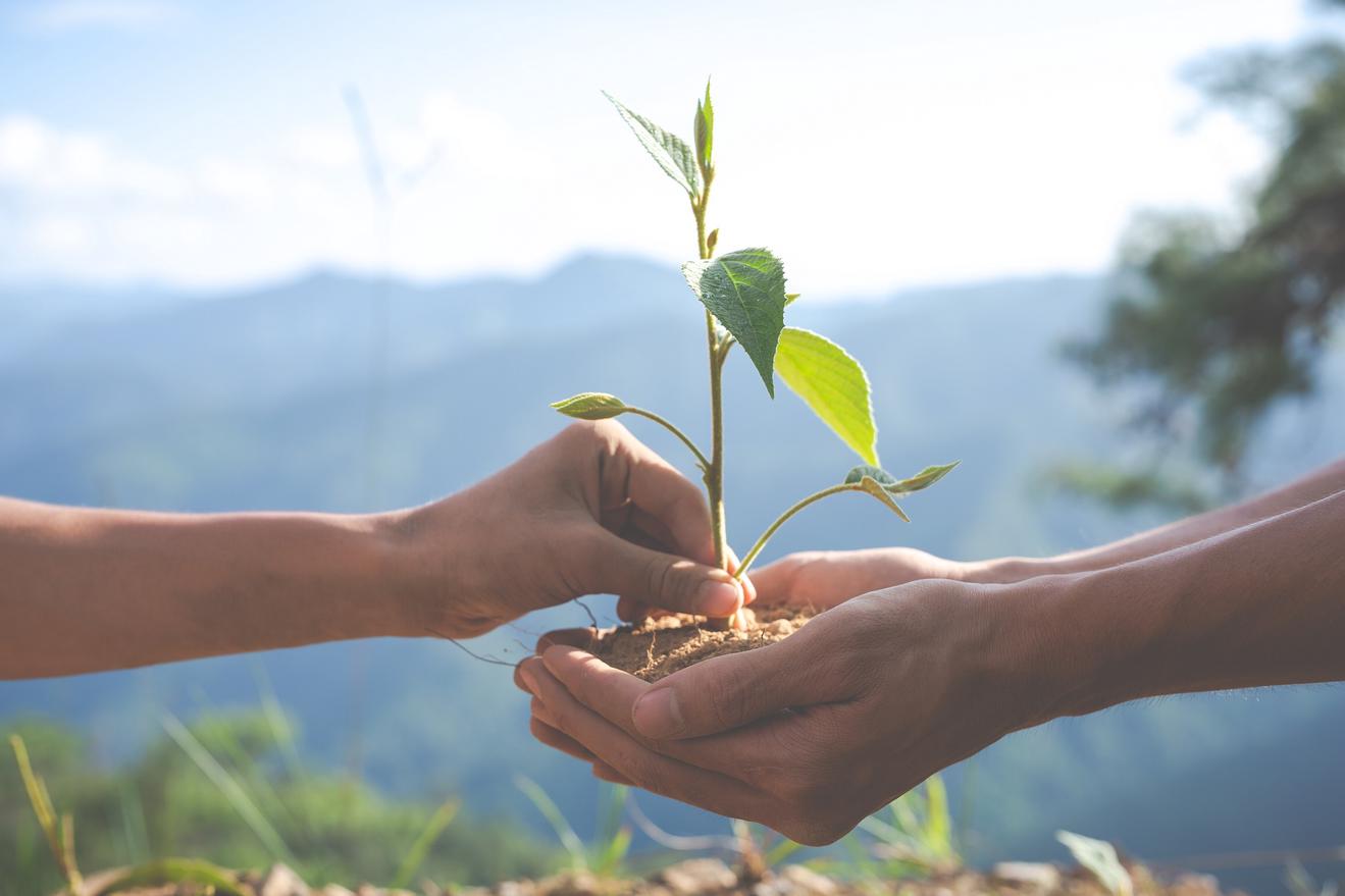 quy trình lập báo cáo ESG