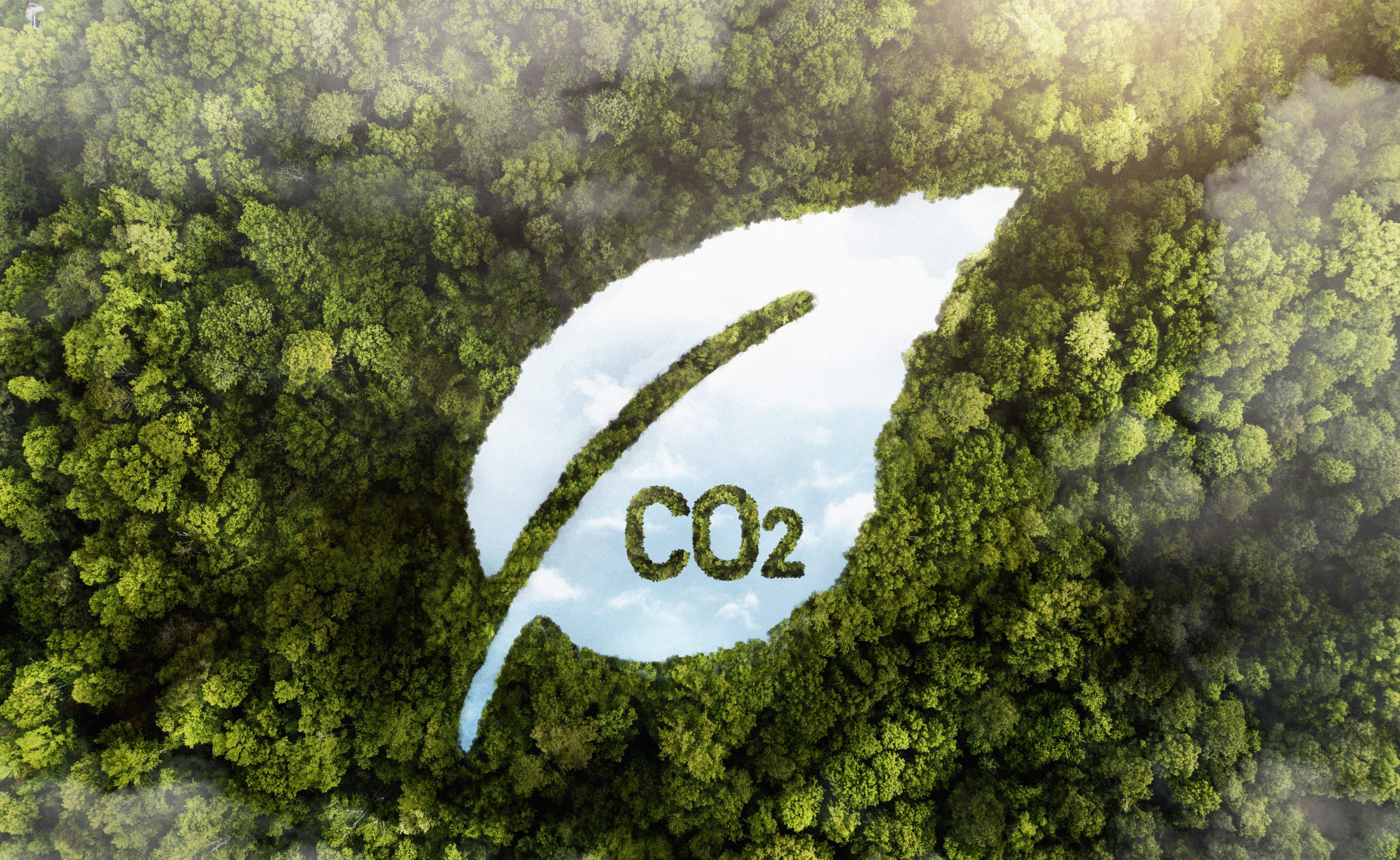 thị trường carbon bắt buộc là gì