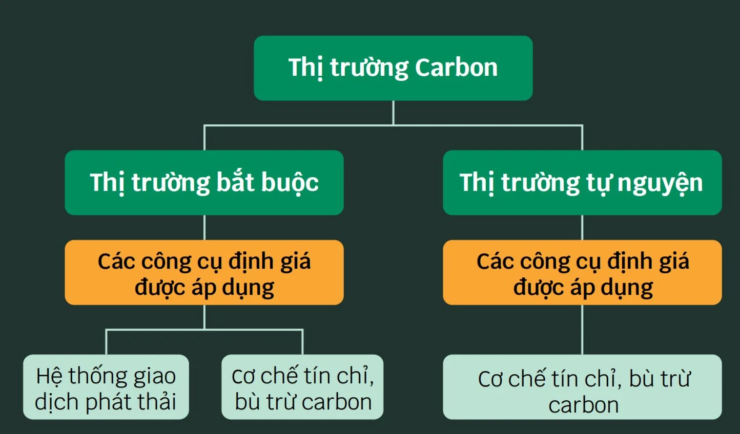 thị trường carbon tự nguyện