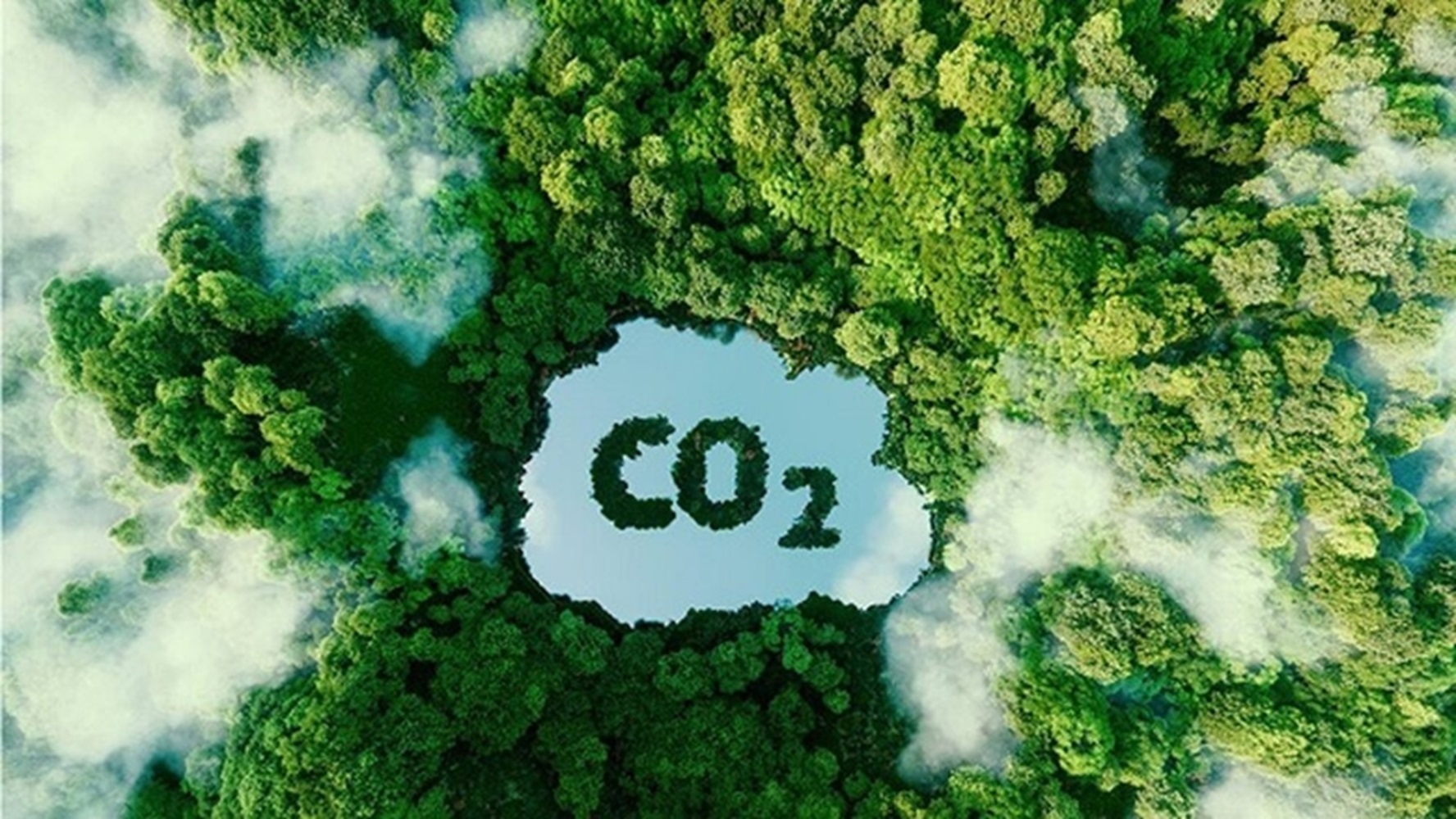 thách thức của Thị trường Carbon tự nguyện 