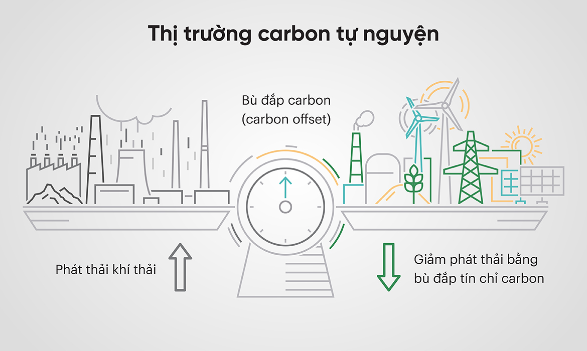 Thị trường Carbon tự nguyện  là gì