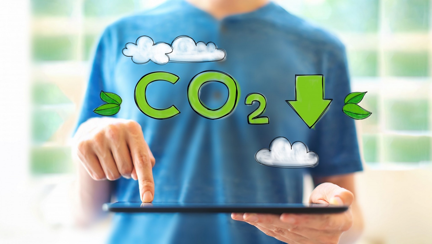 cấu trúc Thị trường Carbon tự nguyện 